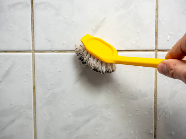  Alderson, WV Mold Removal Pros