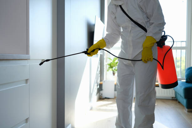 Best Kitchen Mold Remediation in Alderson, WV